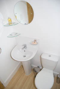 The modern upstairs bathroom